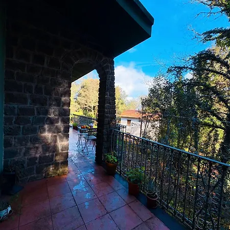 Sos Elighes All'ombra Dei Lecci *